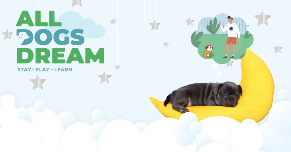 All Dogs Dream Opens Tomorrow!