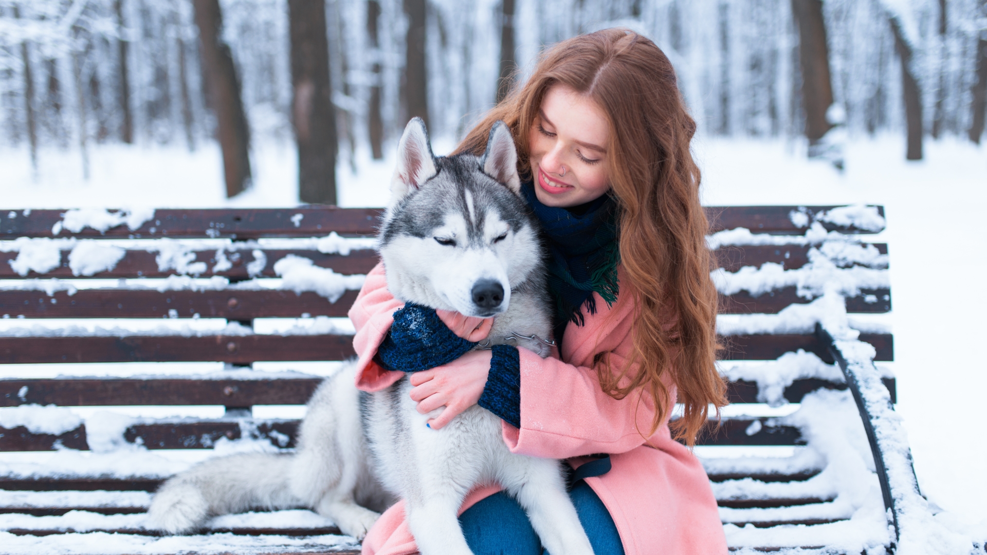 Get to Know the Siberian Husky